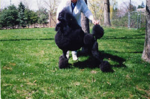 giofile0034.jpg