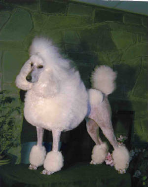 lolaimg119.jpg
