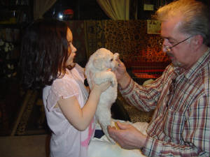 pups4wks017.jpg