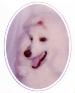 zsazsaimg112.jpg