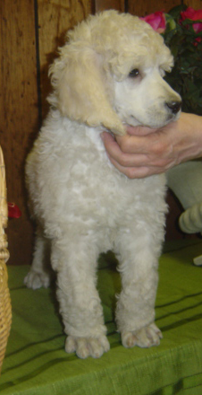 222003a.jpg