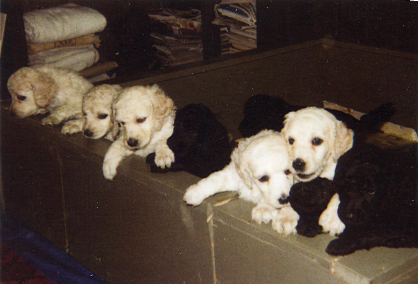 file0016.jpg